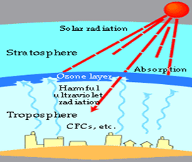 Ozone Effect